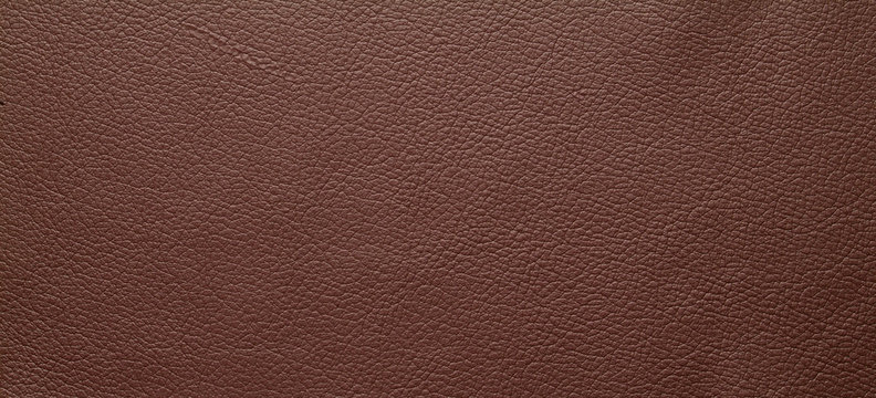 Texture pelle