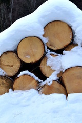 Baumst&auml;mme gelagert und mit Schnee bedeckt
