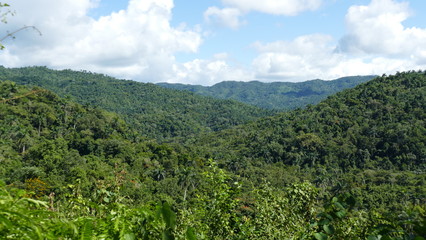 Naklejka premium Parque Natural Topes de Collantes