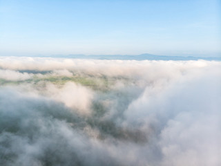 Fototapeta na wymiar Morning cloud fog or mist over the agriculture field