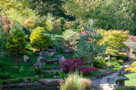 Japanese style garden in England with trees on slope