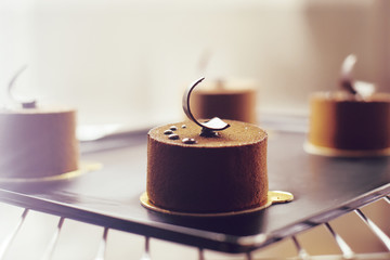 Gourmet chocolate dessert in a restaurant, cafe.Cookery, a book of desserts, sweets.