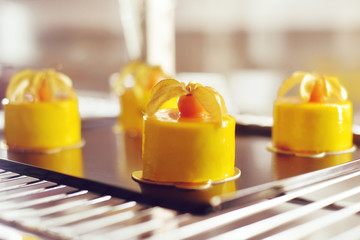 Gourmet chocolate dessert in a restaurant, cafe.Cookery, a book of desserts, sweets.