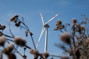 Windfarm in deutschland