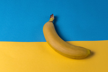 Minimalism style. Fruit pattern with yellow ripe banana fruit over yellow and blue background.
