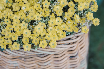 yellow flowers in a basket