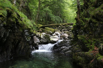 Obraz premium Cascade