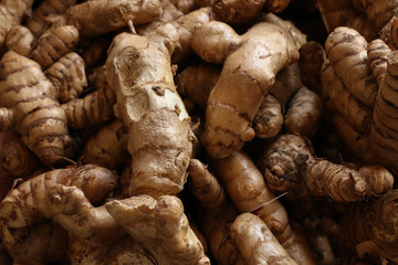 Herbs of Thai Medicine