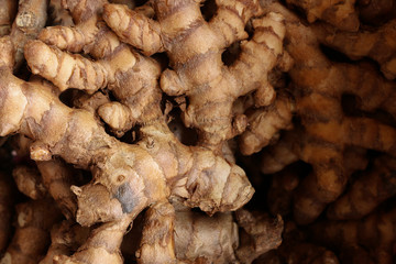 Herbs of Thai Medicine