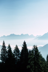 mountains in the fog