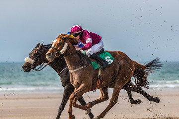 Race horses and jockeys competing on the beach - obrazy, fototapety, plakaty