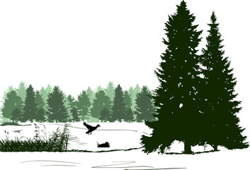 Naklejka premium ducks in pond near green trees isolated on white