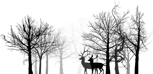 two deer silhouettes between bare trees isolated on white