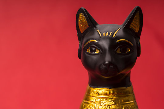 black egyptian cat