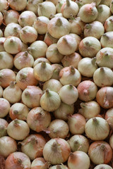 Onion in the market