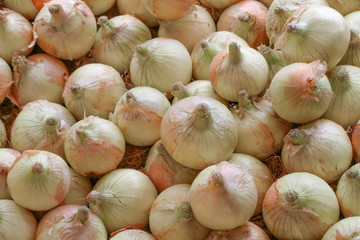 Onion in the market