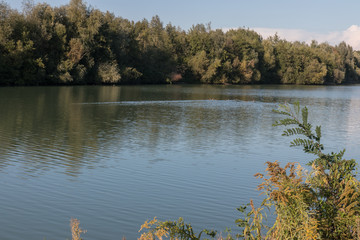Klausensee