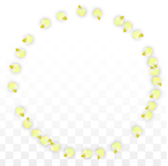 Vector Realistic Pink Petals Falling on Transparent Background.  Spring Romantic Flowers Illustration. Flying Petals. Sakura Spa Design. Blossom Confetti.