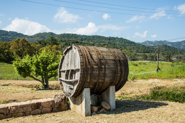 old barrel in a field