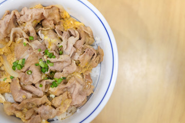 Buta Tojidon (pork with egg on rice) serve on white bowl for Japanese food background or texture.