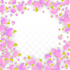 Vector Realistic Pink Petals Falling on Transparent Background.  Spring Romantic Flowers Illustration. Flying Petals. Sakura Spa Design. Blossom Confetti.