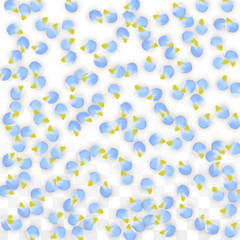 Vector Realistic Blue Petals Falling on Transparent Background. Spring Romantic Flowers Illustration. Flying Petals. Sakura Spa Design. Blossom Confetti.