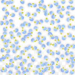 Vector Realistic Blue Petals Falling on Transparent Background.  Spring Romantic Flowers Illustration. Flying Petals. Sakura Spa Design. Blossom Confetti.