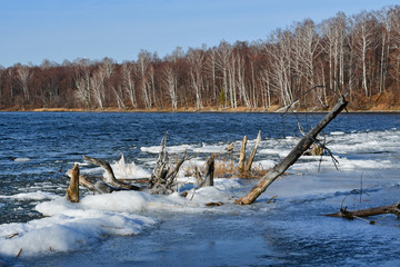 Natural monument - lake Uvildy in late autumn in clear weather, Chelyabinsk region. Russia. The forest on the shore of the island Vyazovy and snags in the water