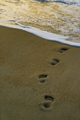  woman relaxing walking on sand beach leaving footprints in the sand.