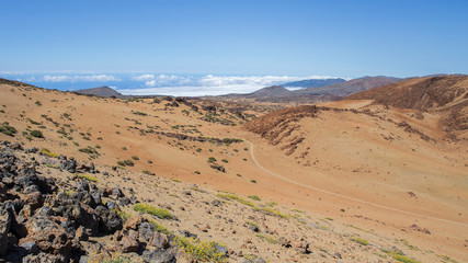 Los huevos del Teide, Tenerife