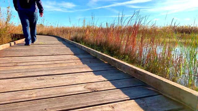 Man walking over a wood path, in the wetlands natural park La Marjal in Pego and Oliva, Spain