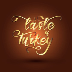 Taste Of Turkey lettering banner design. Vector illustration.