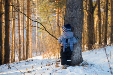 Back view on cute little toddler boy in warm snowsuit walking in the park on a winter day. Child outdoors in forest.