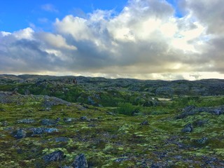 Obraz premium Tundra landscape in Russian north