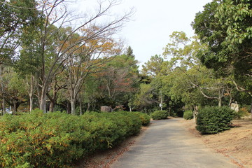 公園