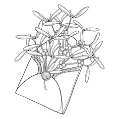 Vector bunch of outline Mistletoe with leaves and berry in open craft envelope in black isolated on white background. Contour Mistletoe branch for Christmas winter design or coloring book.