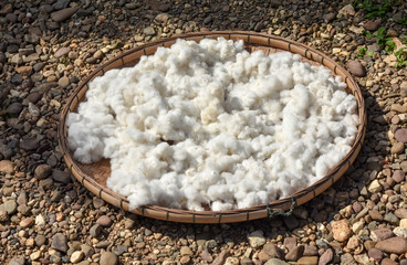 Tuft of cotton wools from beaten cotton flowers spread drying in bamboo tray before spinning into thread.