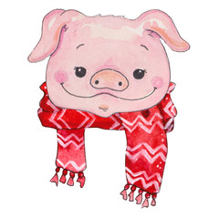 watercolor cartoon Piggy face illustration.