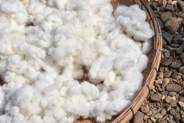 Tuft of cotton wools from beaten cotton flowers spread drying in bamboo tray before spinning into...