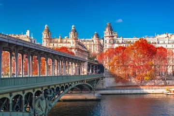 Door stickers Paris Paris, panorama in autumn, the Bir-Hakeim bridge and beautiful parisian buildings, view of the Seine  