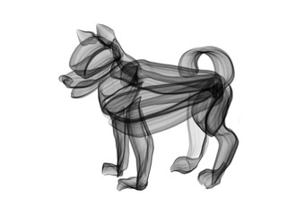 Obraz na płótnie Canvas Dog pet animal abstract illustration transparent black and white.