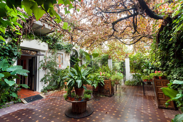 Obraz premium Green plants and trees inside courtyard of historical house in Andalusia. Home garden with beautiful flowerpots in tradition style of Spain