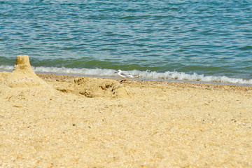 Many seagulls are sitting on the sand, by the sea.