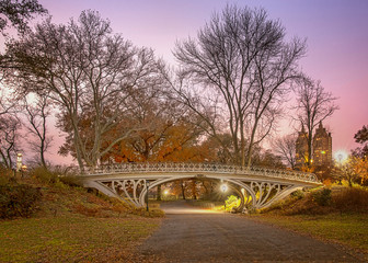 Naklejka premium Fall over Gothic Bridge
