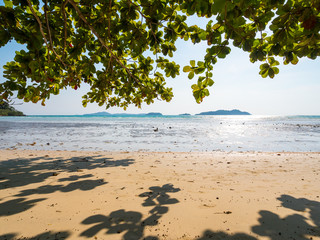 Paradisiacal shoreline from the beach's trees shade