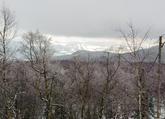 Winter landscape covered with snow