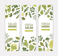Bundle of vertical web banner templates with green vegetables, fresh salad leaves and spice herbs on white background. Vector illustration for eco friendly organic products advertisement, promotion.