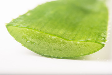 Cut aloe leave on white background isolated