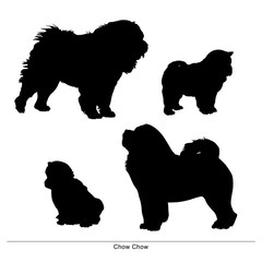 Chow Chow breed dog. Vector silhouette of the dog