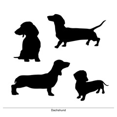 Dachshund breed dog. Vector silhouette of the dog